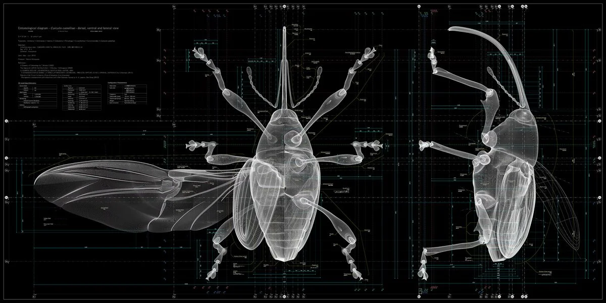 Insects "offer hints for the future of humankind" says Taku Satoh