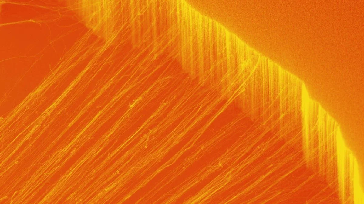 A nanotube material conducts heat in just one direction