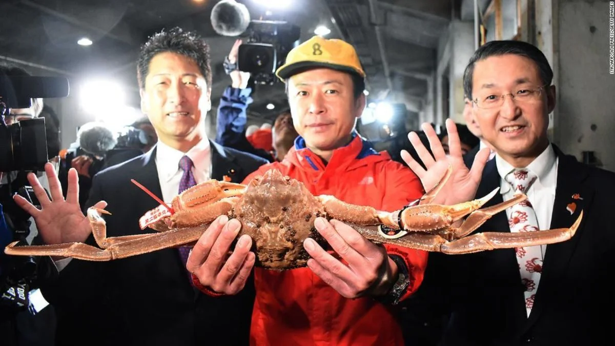 Snow crab sells for record price in Japan