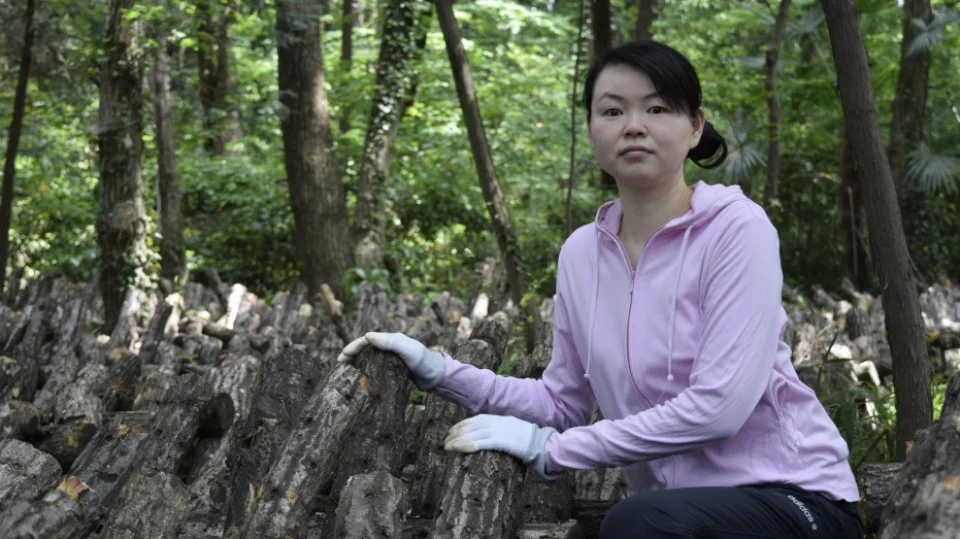 Shiitake farmer looking to build on her mushrooming success