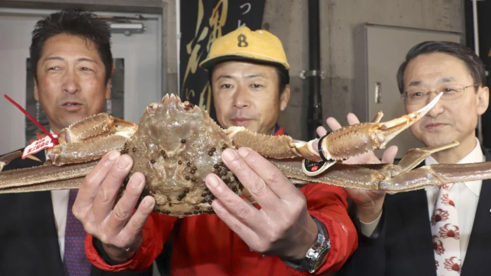 Japan snow crab fetches record $46,000 at auction