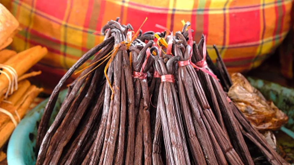 Scent of vanilla helps to ease pain: Japanese researchers