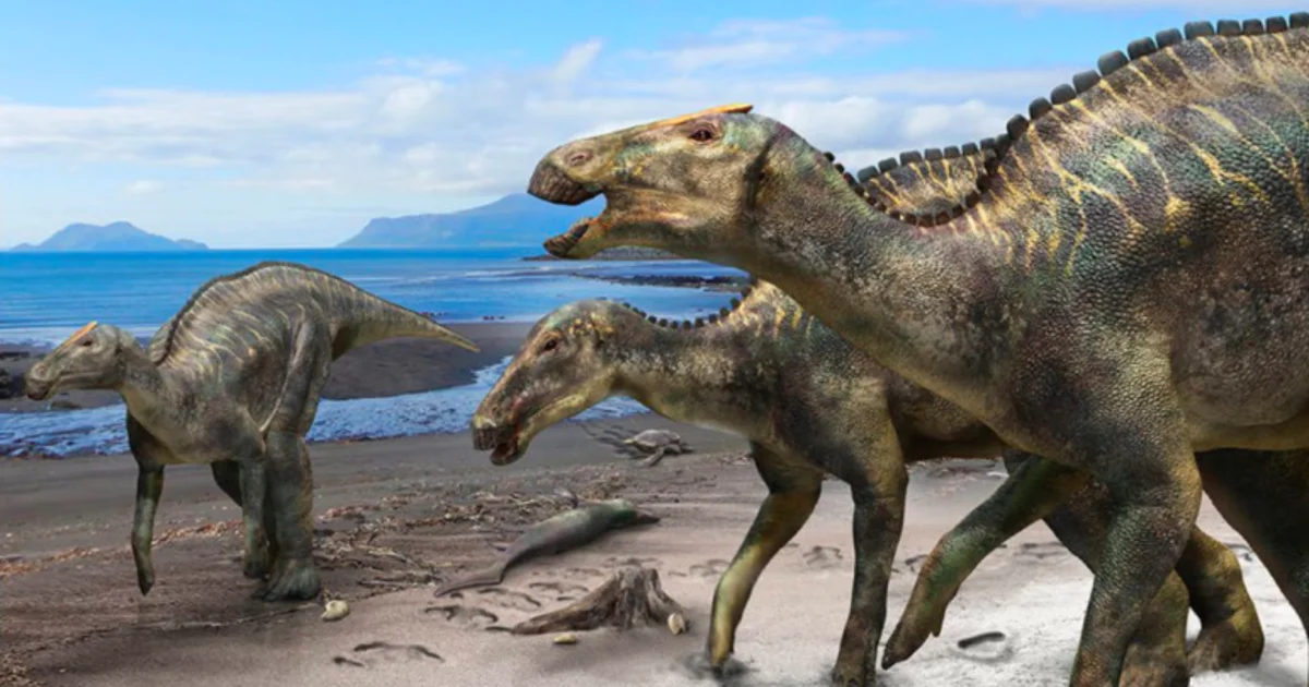 New species of dinosaur discovered in Japan