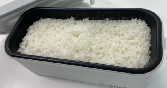 Japan has an awesome one-person bento box rice cooker, and here’s what we made with ours