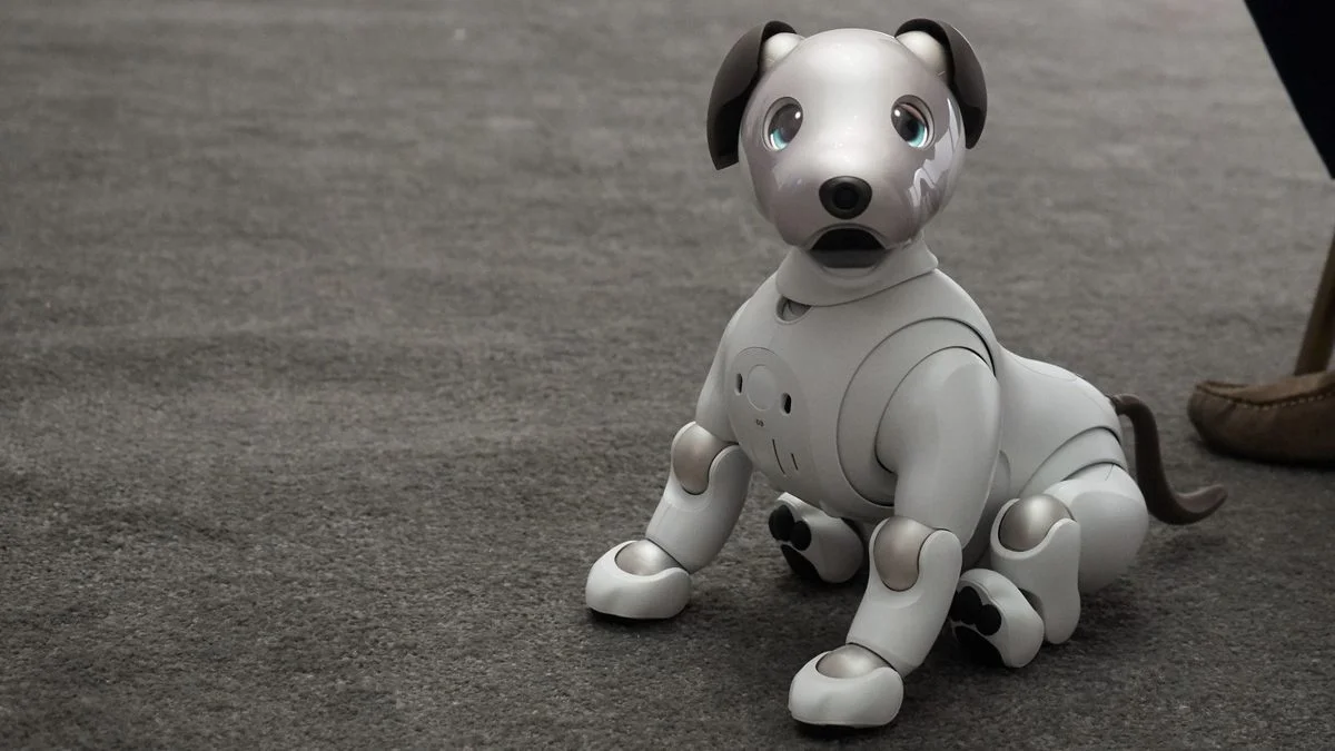 Sony, Please Let Me Play With This Good Boy