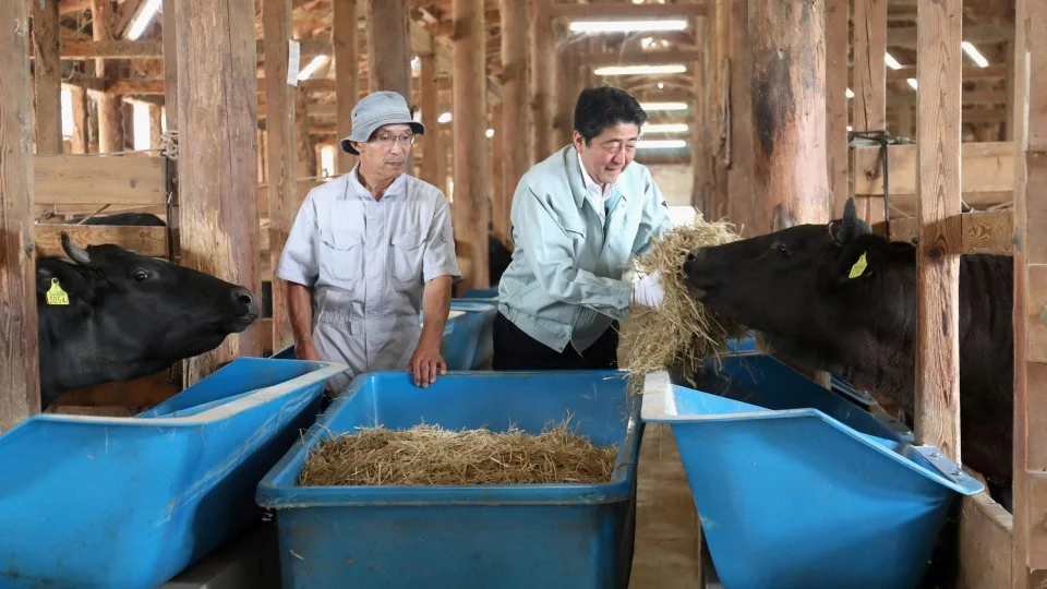 Japan to double wagyu beef output amid rising overseas demand