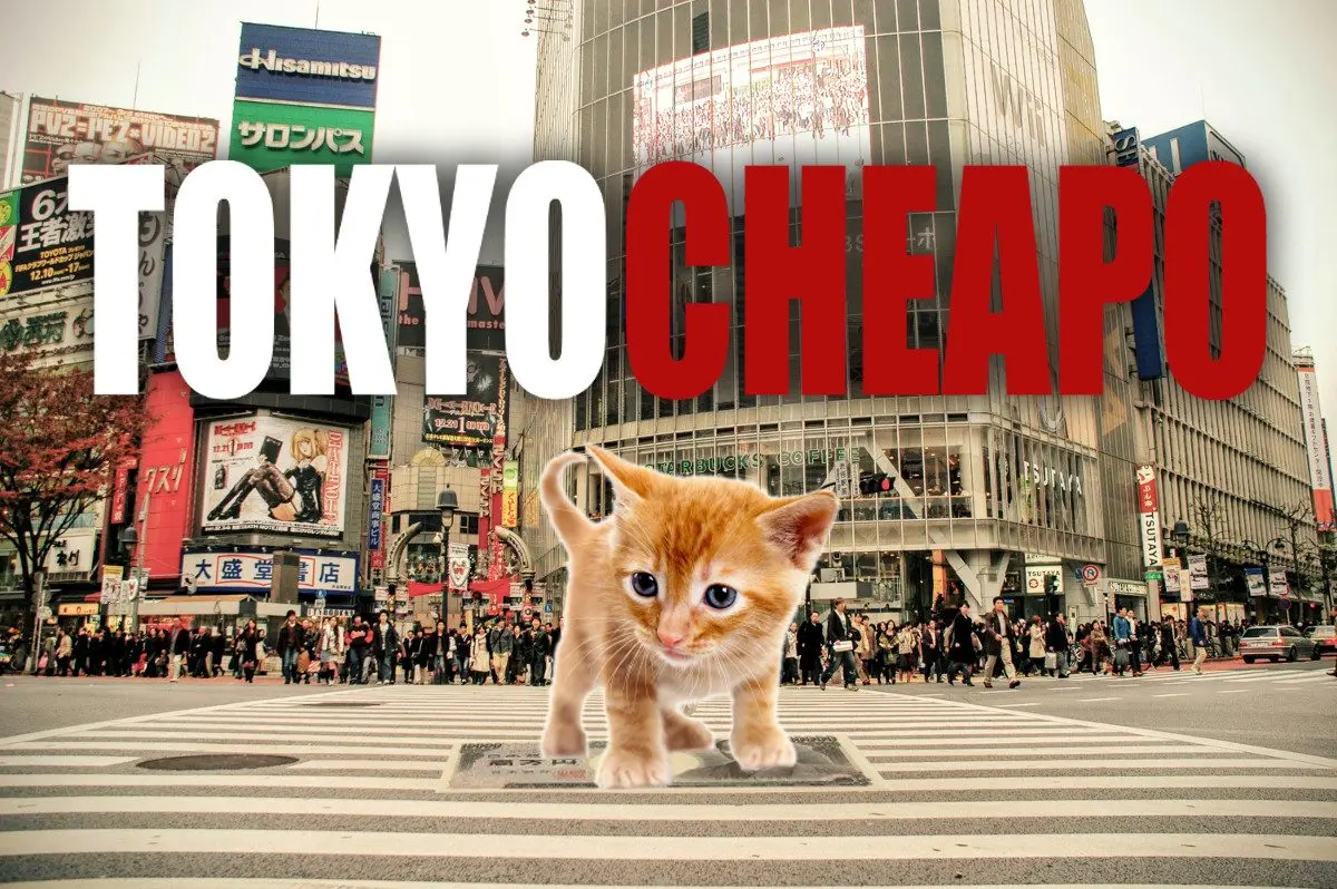Tokyo Events This Week: Robots and Rackets
