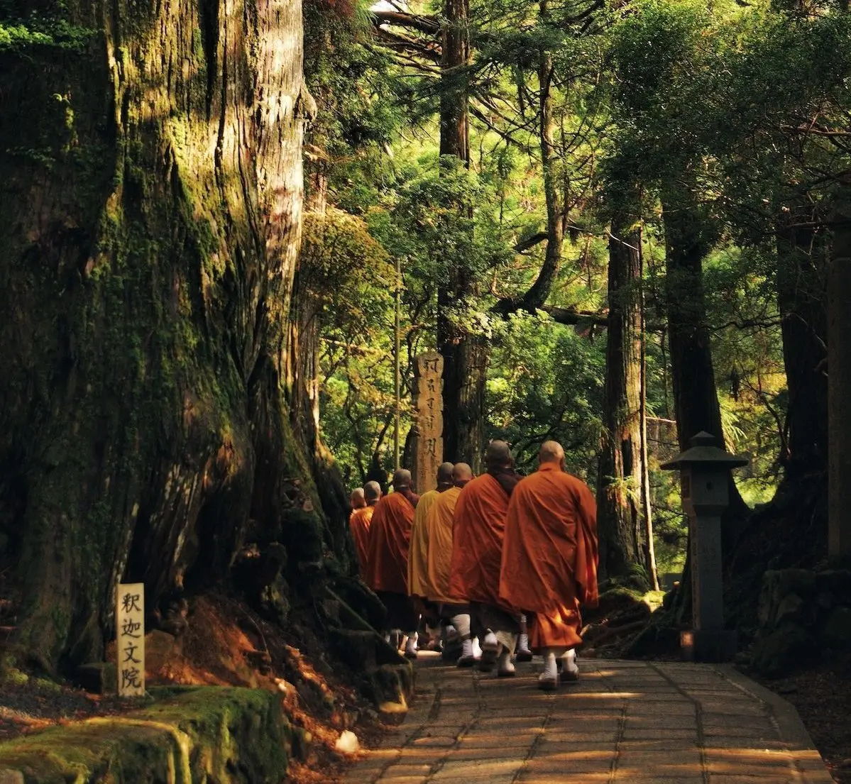 Learning the Way of the Monks in Wakayama Prefecture