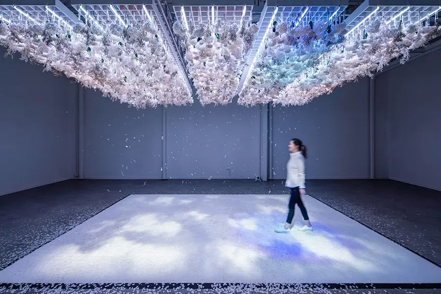 Art of the Bloom by Daikoku Design Institute