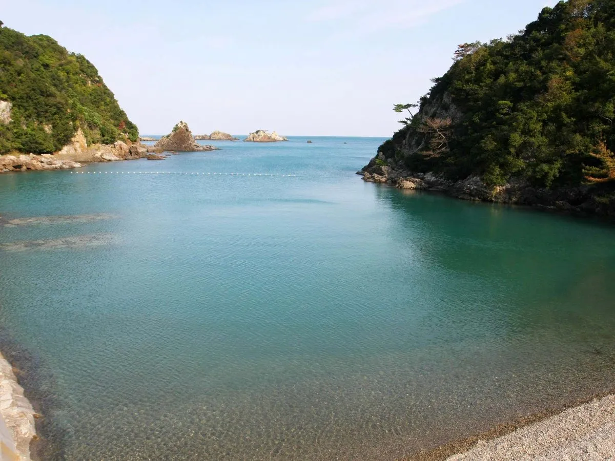 Dolphins trapped in nets and slaughtered with knives as Japan starts controversial annual hunt