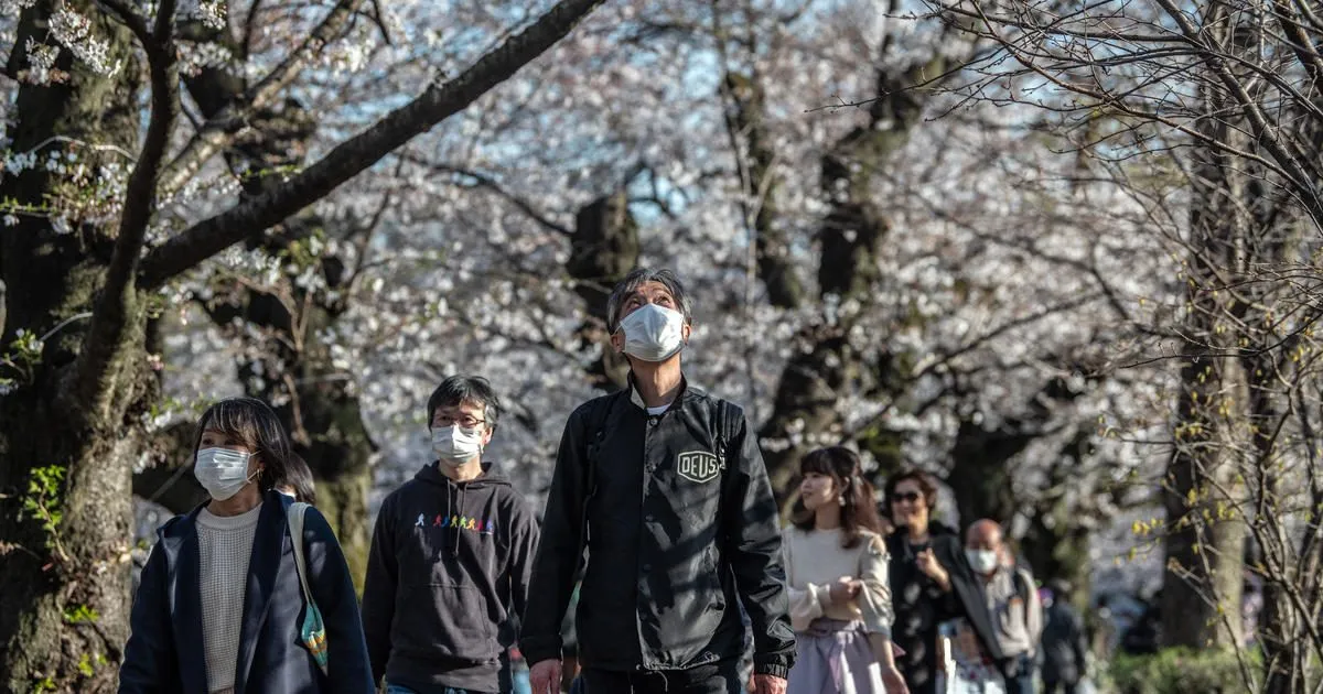 Sudden spike in new Tokyo virus cases brings dire warning for Japan