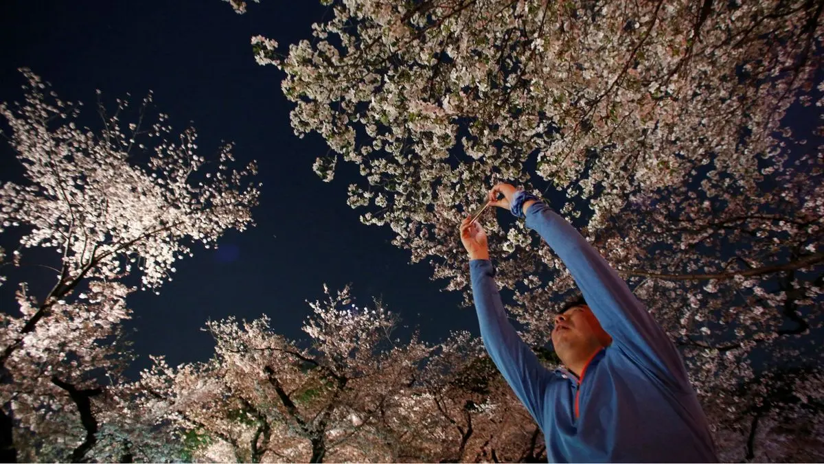 The rise in tourists visiting Japan is statistically off the charts