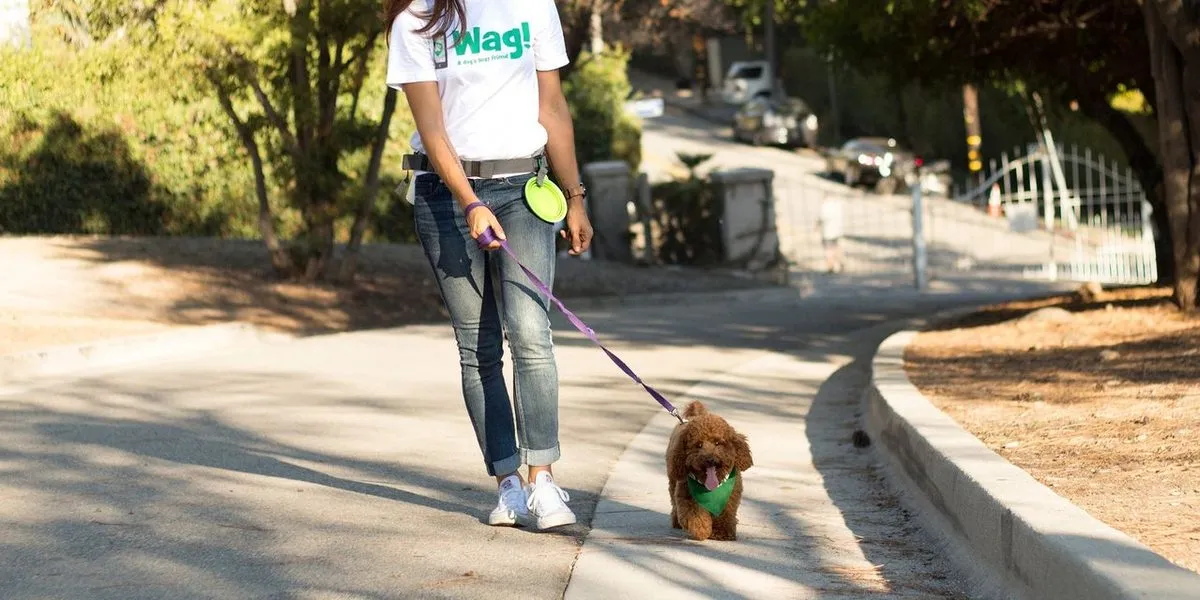 SoftBank Is Selling Wag Stake Back to Company