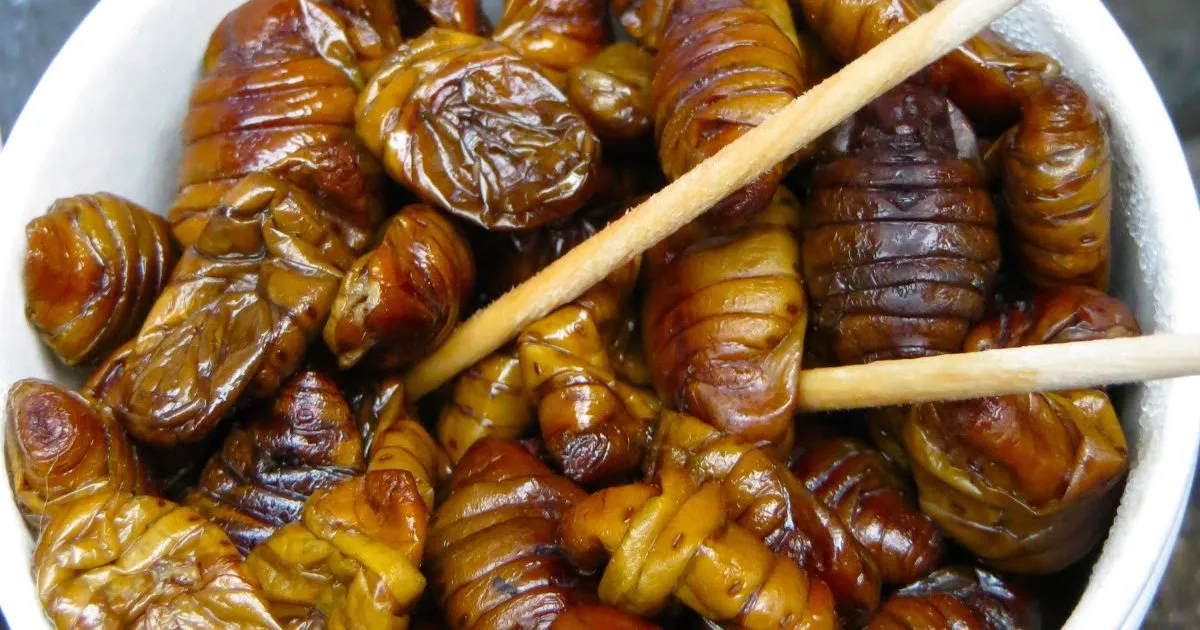 Top Asian delicacies that many consider kind of gross