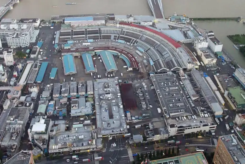 Tokyo Metropolitan Government report says current Tsukiji site may be tainted by chemicals