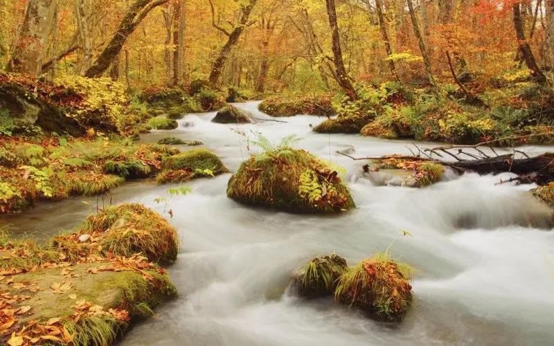 The Best Spots to See Autumn Leaves in Tohoku