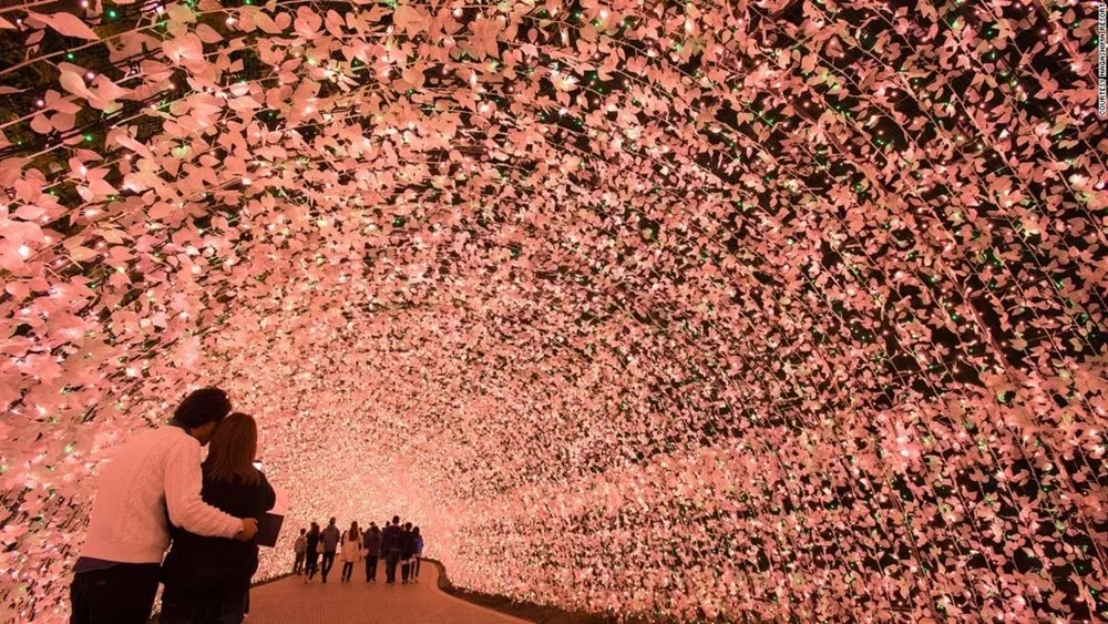 Nabana No Sato 2018: Japan's wildest light display is back