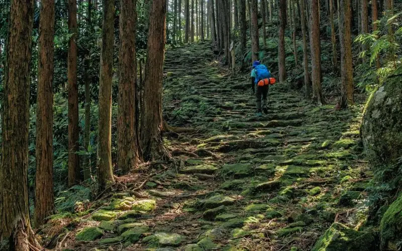 A Guide to Hiking the Kumano Kodo
