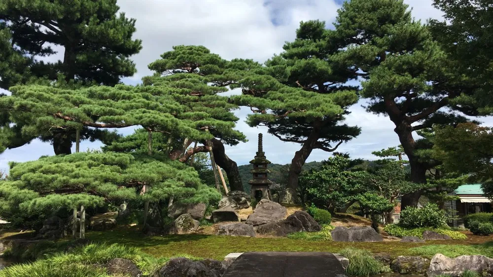 Kenrokuen Garden. Kanazawa, Japan. By Suman Kugadasan.