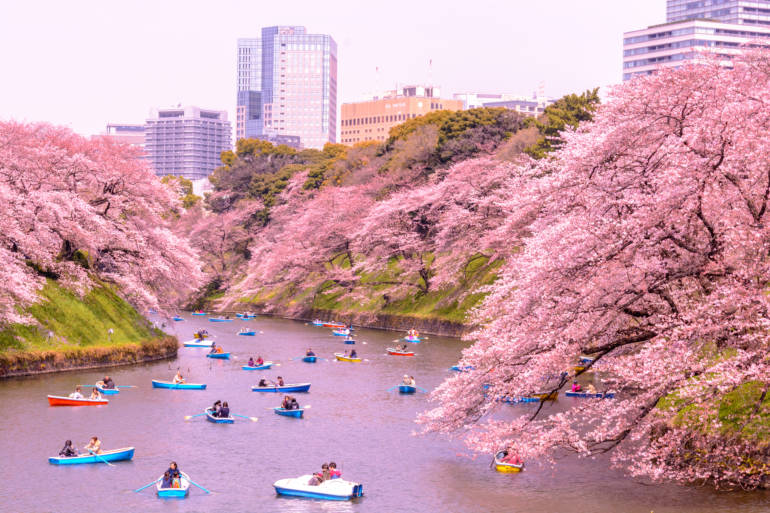 Kitanomaru Park: A Hidden Oasis of Nature, Culture and History in Tokyo